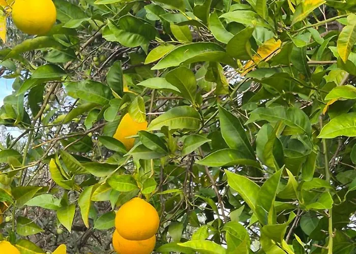 Riva Del Mare דירה *